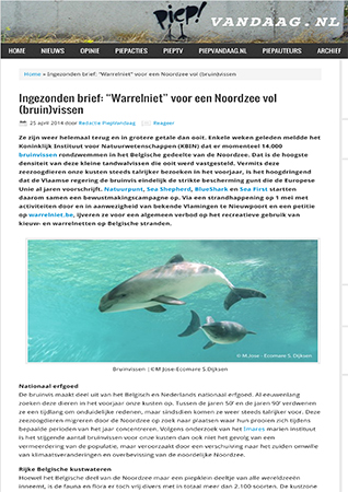 duiken haaien afblijven of afmaken